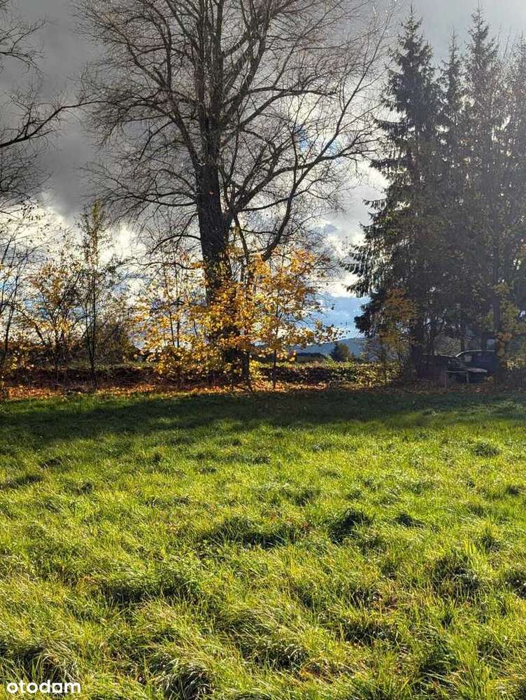 Działka w super lokalizacji - Stary Wielisław-4