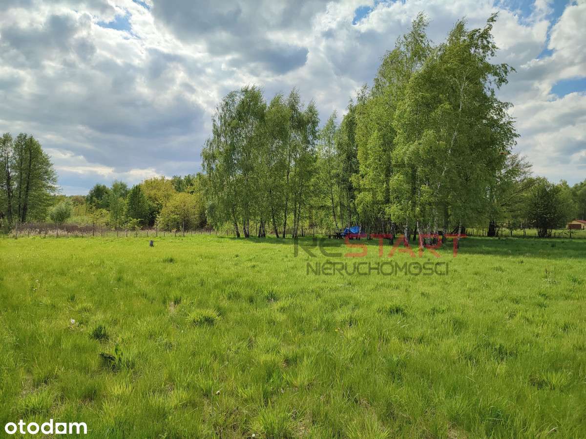 Duża działka budowalna w malowniczych Radoniach! - Pełny obrazek: 5/5