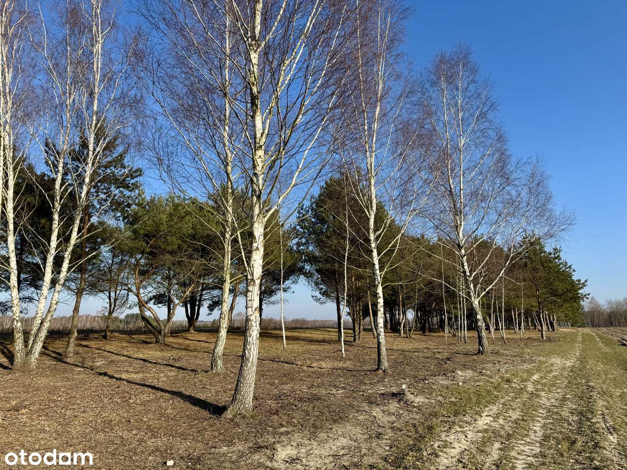 Działki budowlane przy jeziorze Białym-9