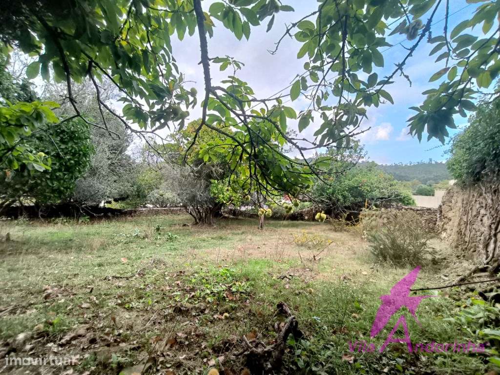 Terreno com Anexo em Pedra em Samonde - Santa Marta de Portuzelo-10