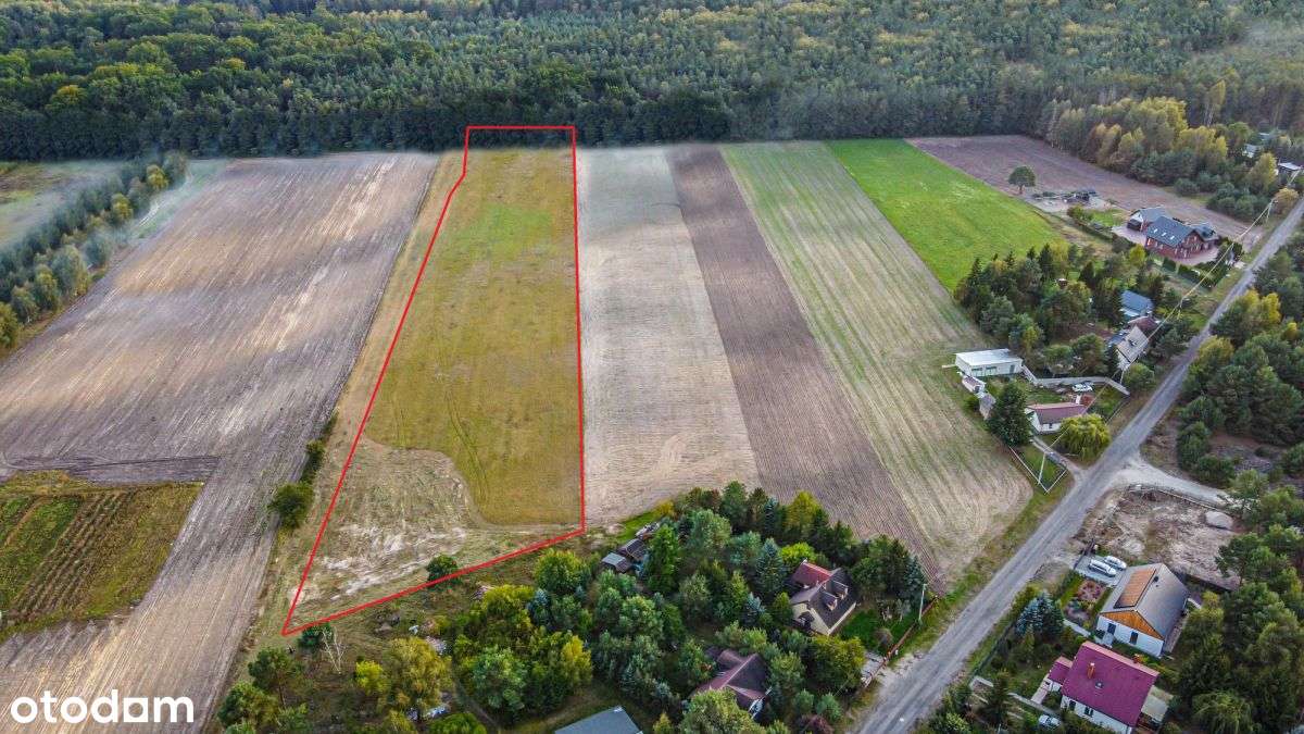 Działki budowlane/warunki zabudowy/woda/prąd - Pełny obrazek: 4/8