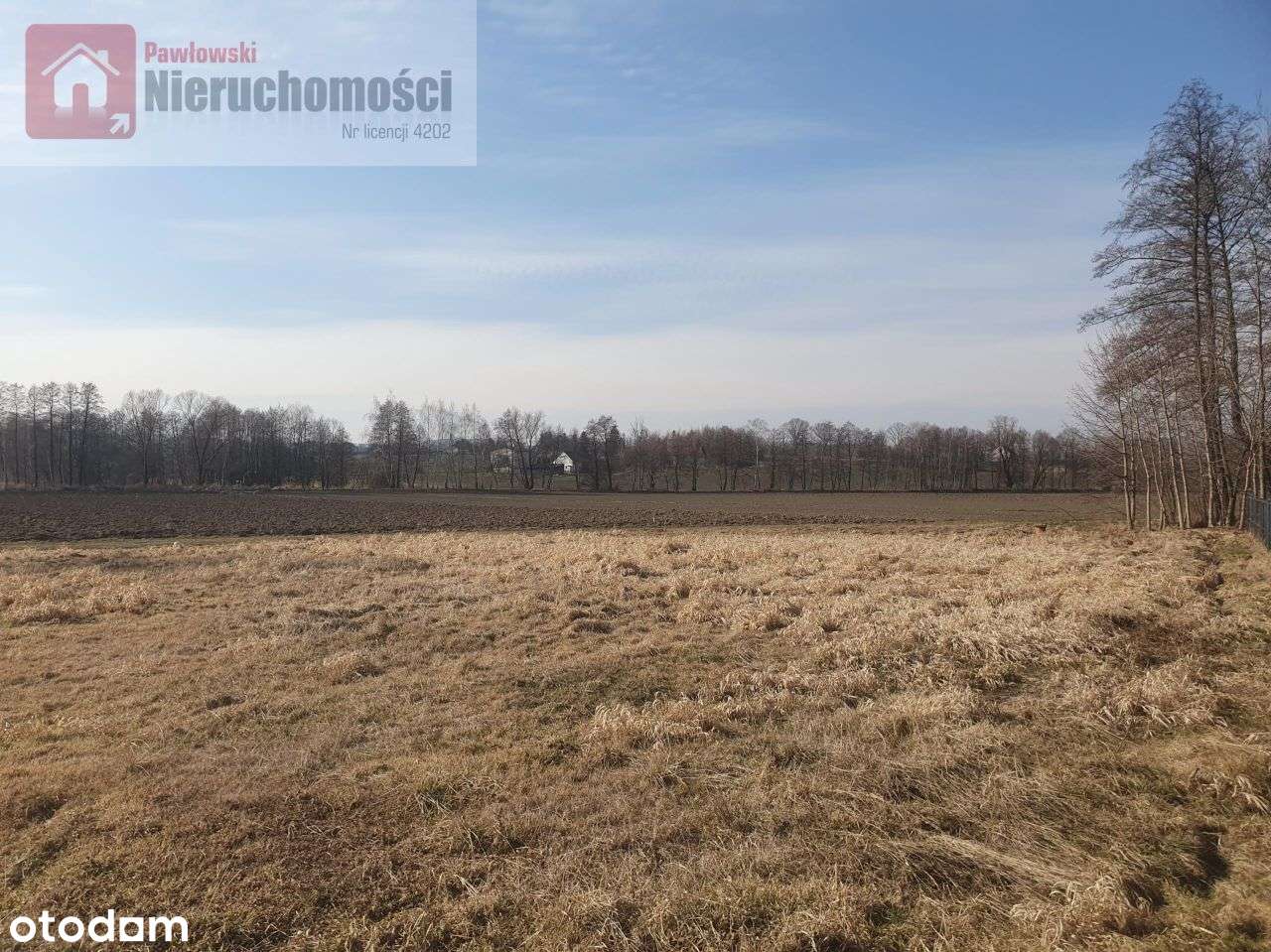 Działka, 1 306 m², Sosnowice - Pełny obrazek: 5/8