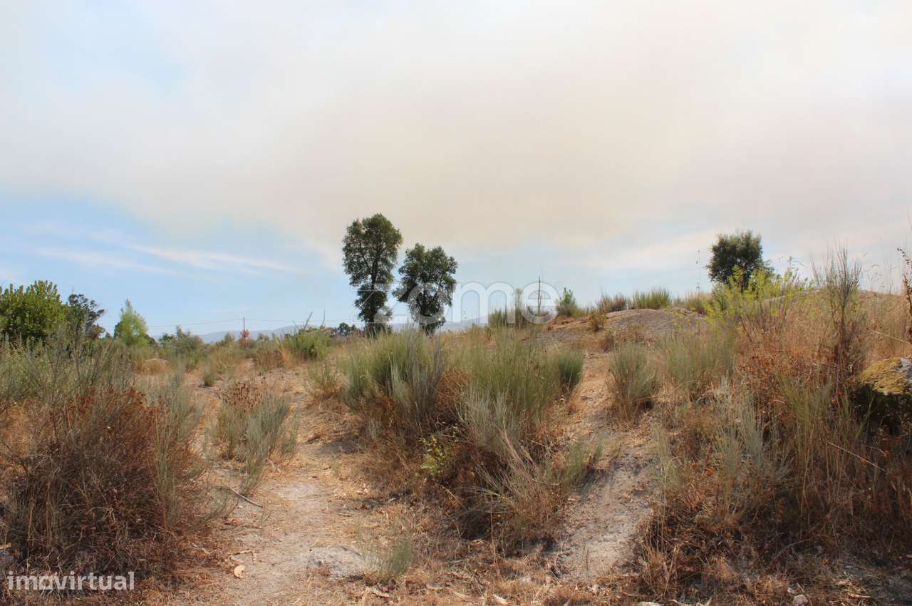 Terreno Rústico em Paranhos da Beira, Seia - Grande imagem: 2/10