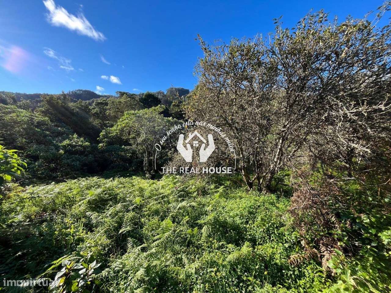 Terreno Rústico em Santo António da Serra - Grande imagem: 3/14