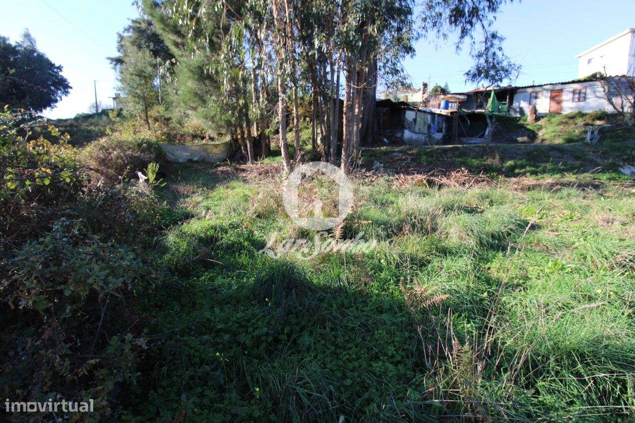 Terreno para construção de moradia c/ 2000m2 em Sequeiró, Stº Tirso - Grande imagem: 4/10