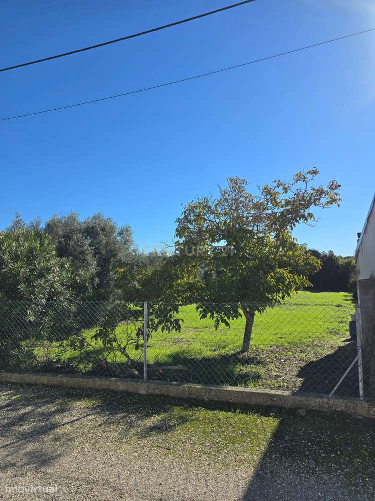 Moradia T3 com 2000 m² de Terreno, Poço, Forno Tradicional e Garagem –-32