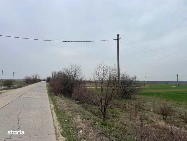 Giurgiu -Marsa Teren Agricol 8.5 Ha Deschidere 80m-6