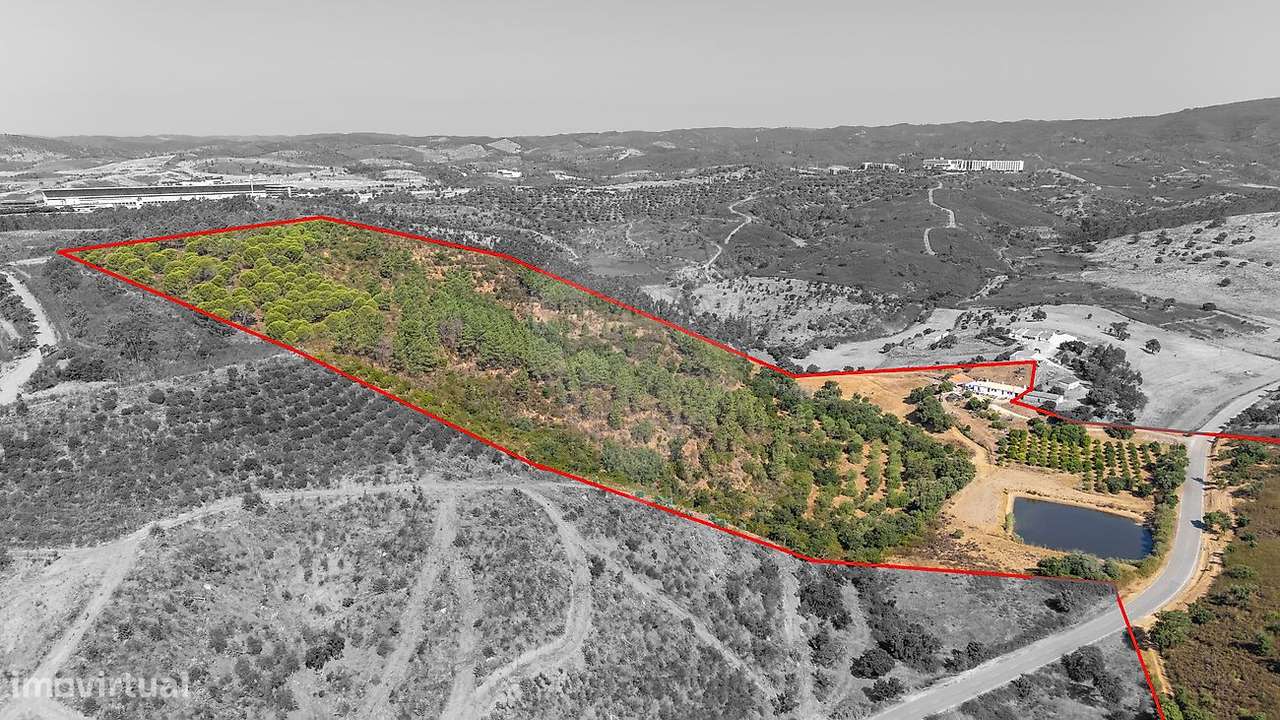 Quinta T4 para venda-18