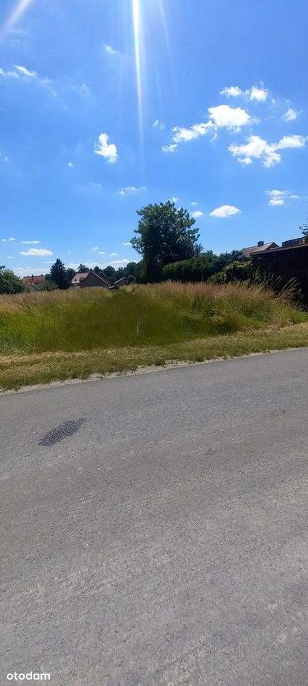 Gniechowice, działka budowlana. - Pełny obrazek: 5/5