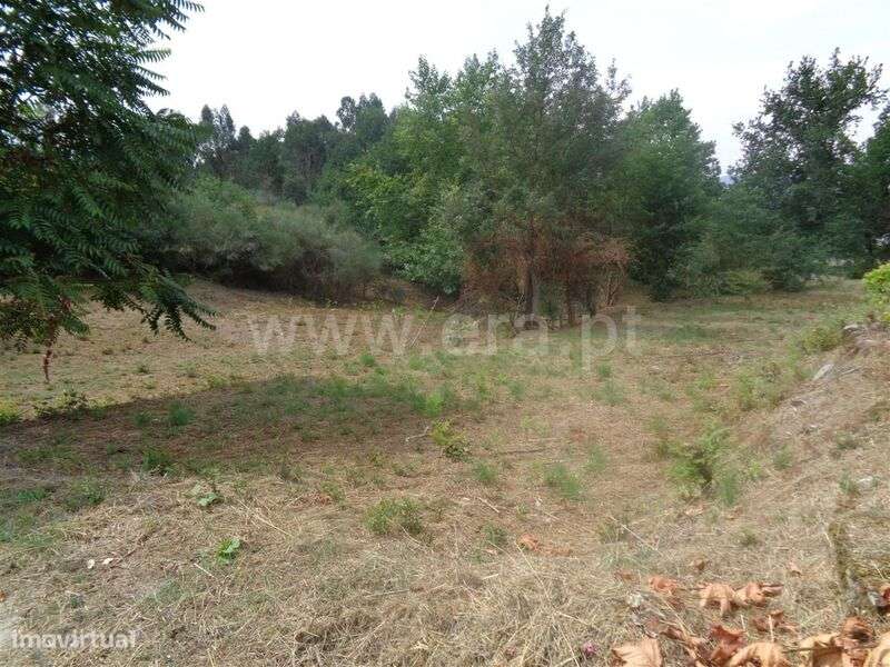 Terreno Rústico / Marco de Canaveses, Banho e Carvalhosa - Grande imagem: 5/6