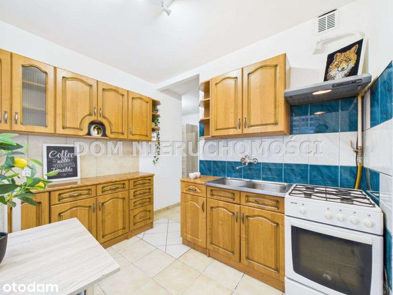 39m2 na Dworcowej - Pełny obrazek: 5/12