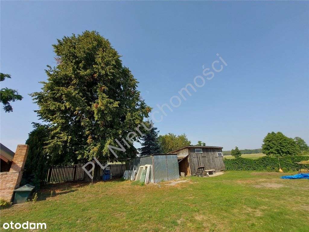 Siedlisko Jak Z Bajki, Miejskie Media, Komunikacja-13