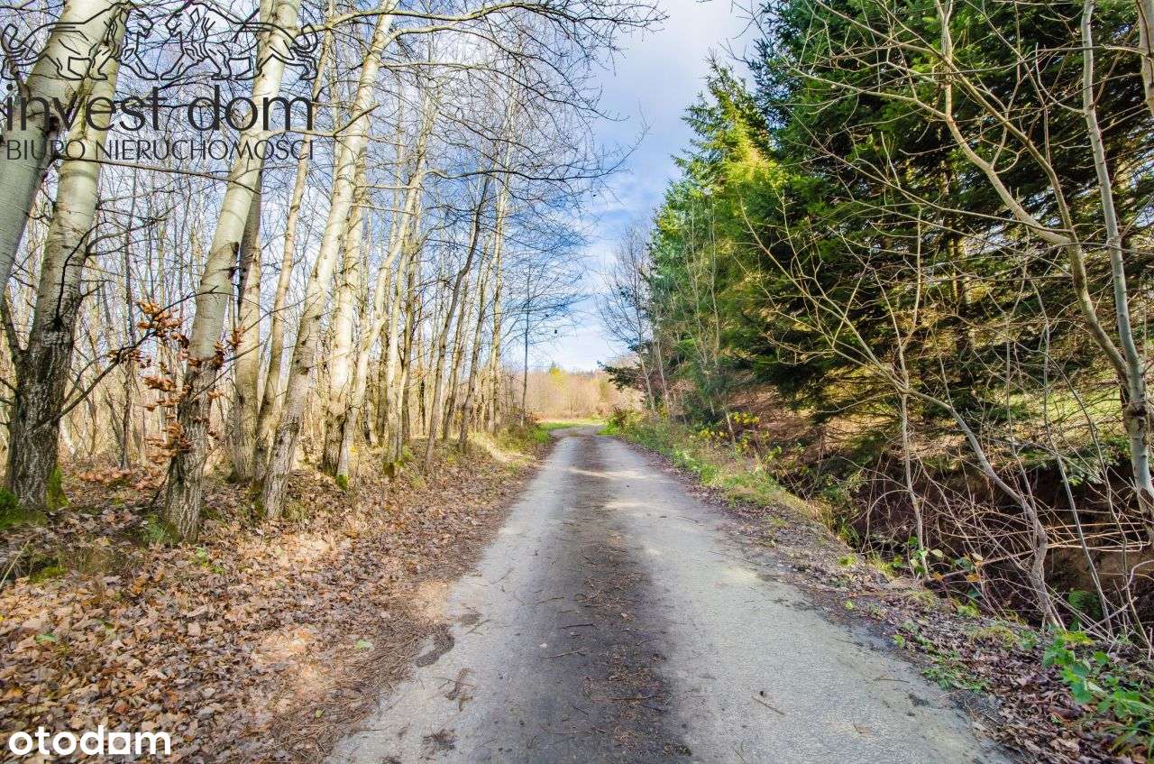 38 arowy unikat! Dz. budowlana lasem – Ropica Górn - Pełny obrazek: 5/17