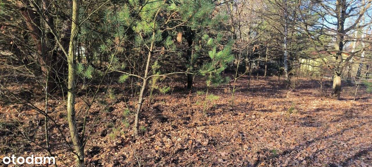 Działka 1500m , w zielonym rejonie z Mpzp. - Pełny obrazek: 4/5