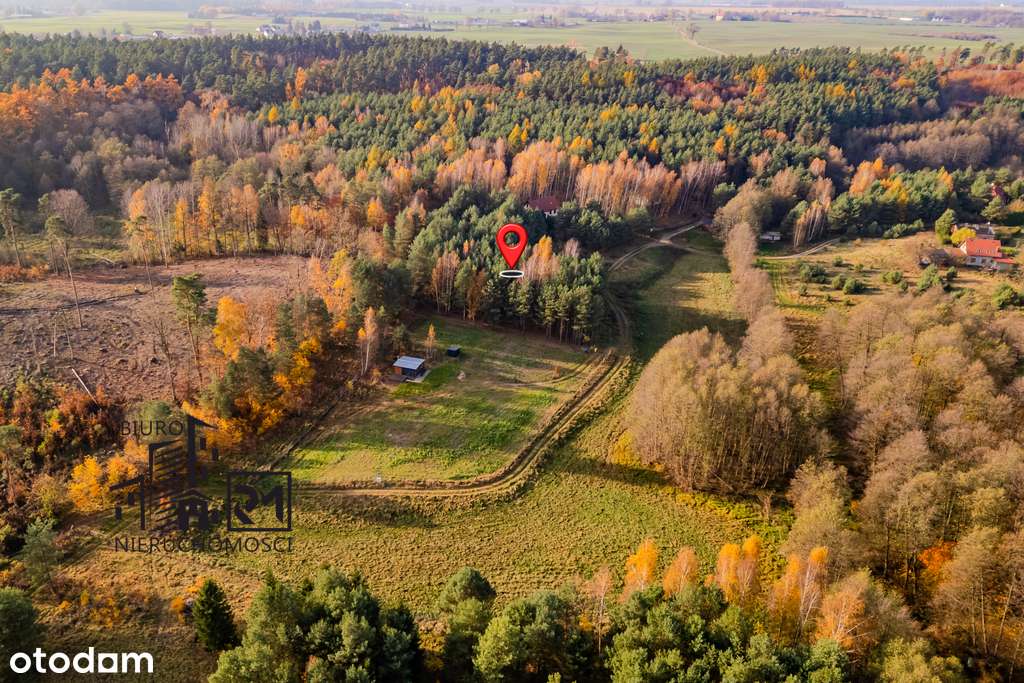 Duża działka rekreacyjna przy Jeziorze Głowińskim-4