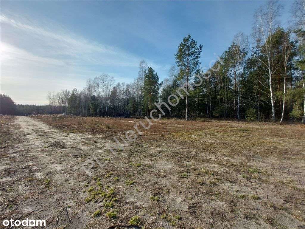 Ostatnia - Piękna Działka W Dobrej Cenie-4