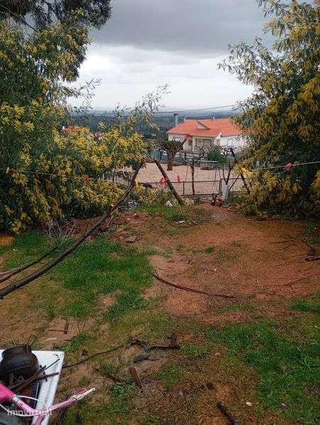 Terreno sitiando em monte lial - Grande imagem: 5/8