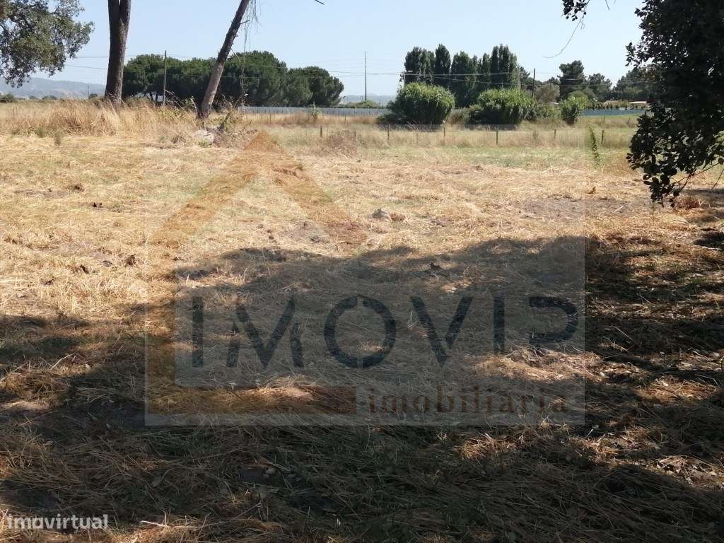 TERRENO Rústico com 5250 m2 no Terrim - Grande imagem: 4/27