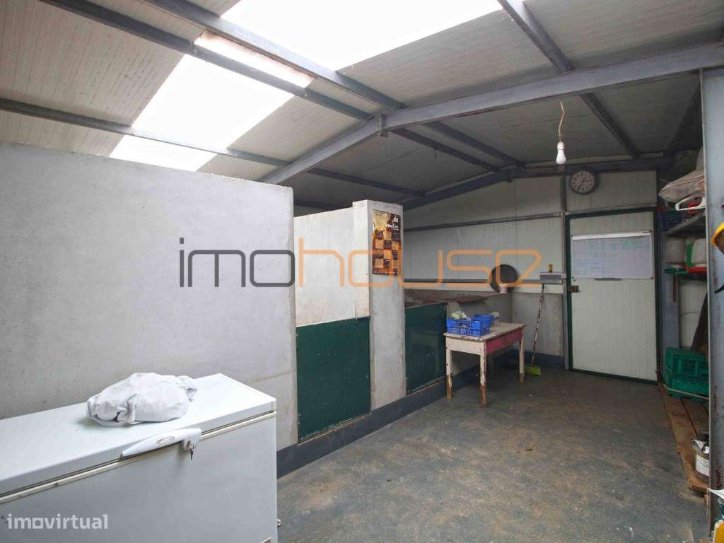 Quinta agrícola - 45 minutos do Porto-56