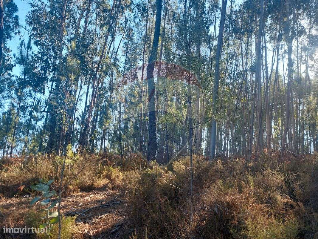 Terreno  para venda - Grande imagem: 5/5