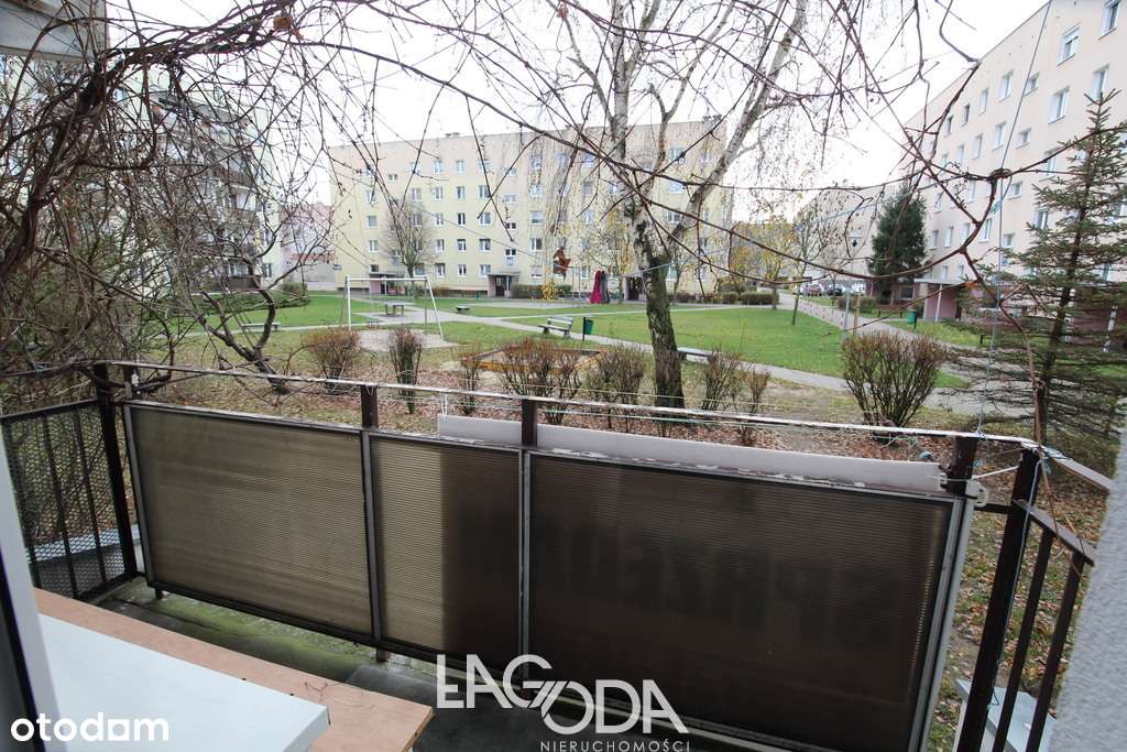 Mieszkanie 2 pokoje, parter, Górczyn - Pełny obrazek: 4/12