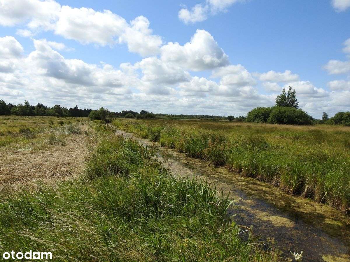 Blisko Plaży W Dębkach-3