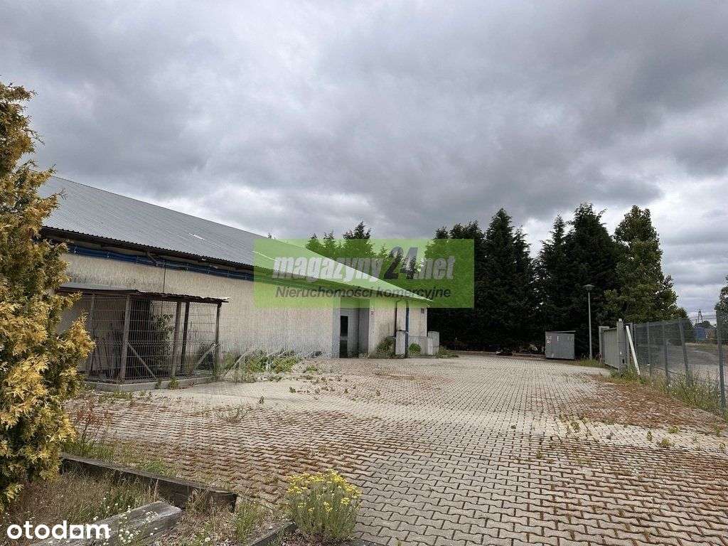 Szczecin, Goleniów, wynajem, hala, magazyn-12