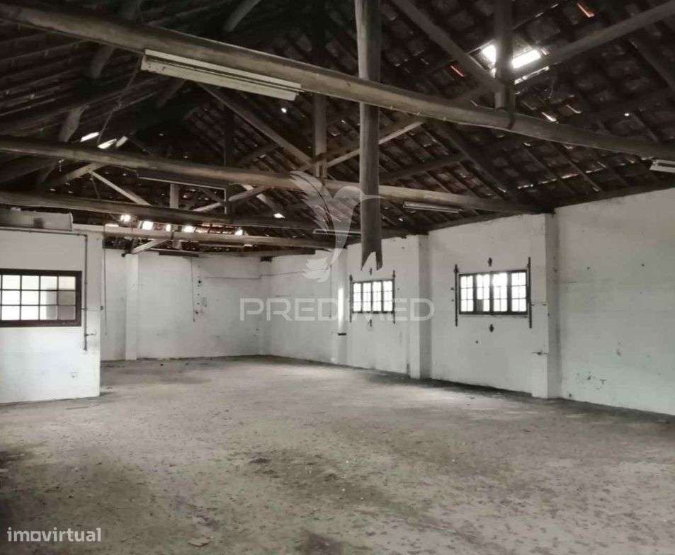 Armazém - Anadia - Grande imagem: 5/13