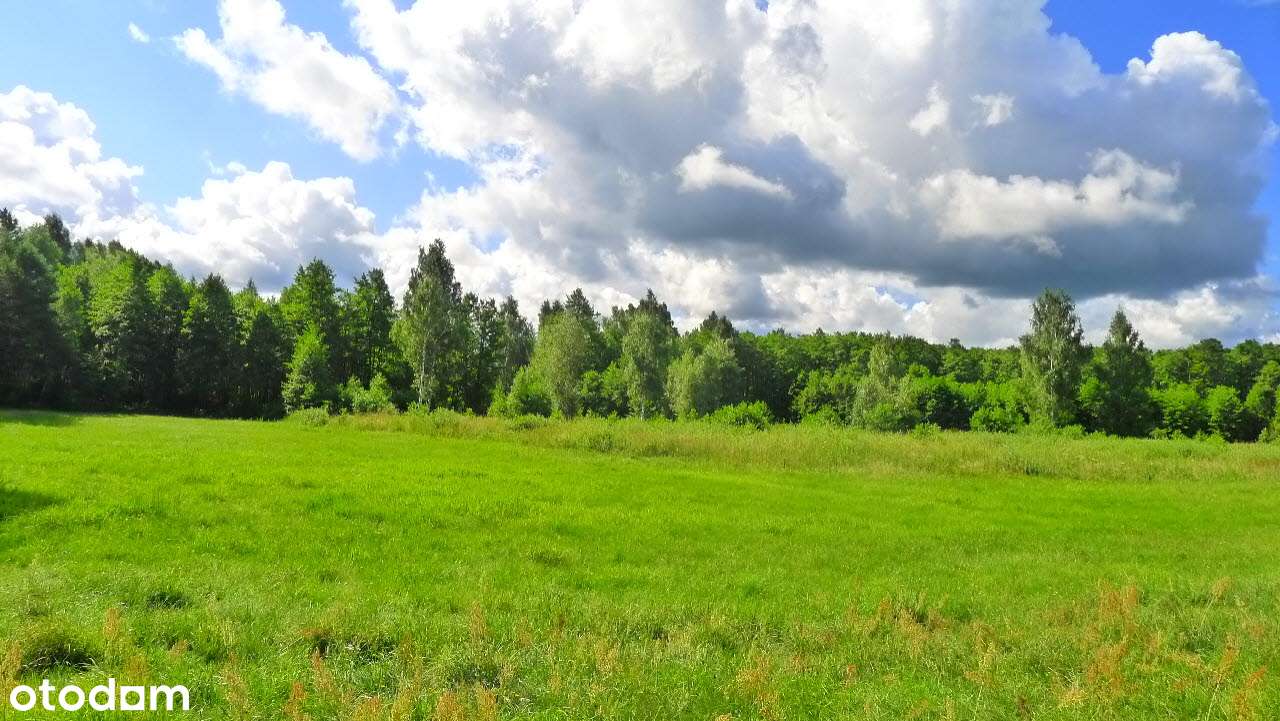 Krasnopol - działki z warunkami zabudowy nad Jeziorem Gremzdy - Pełny obrazek: 4/12