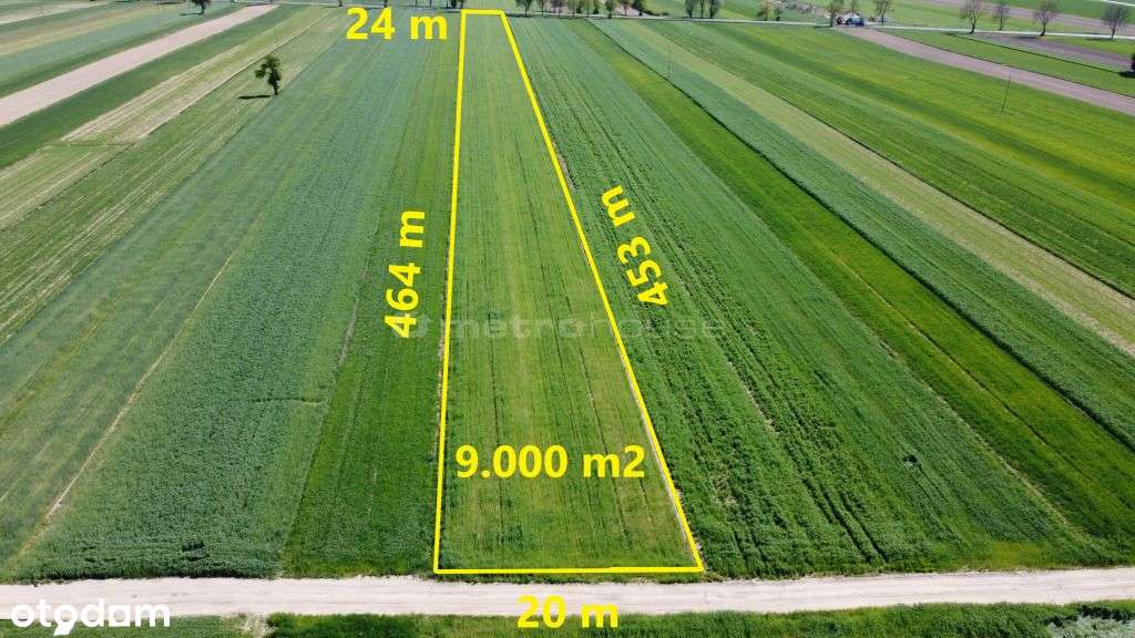 Działka, 9 000 m², Rybno - Pełny obrazek: 5/5