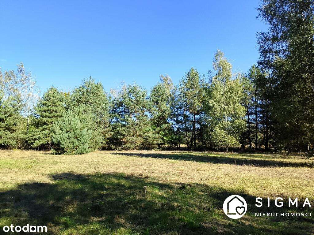 Piękna działka MPZP media Radziejowice