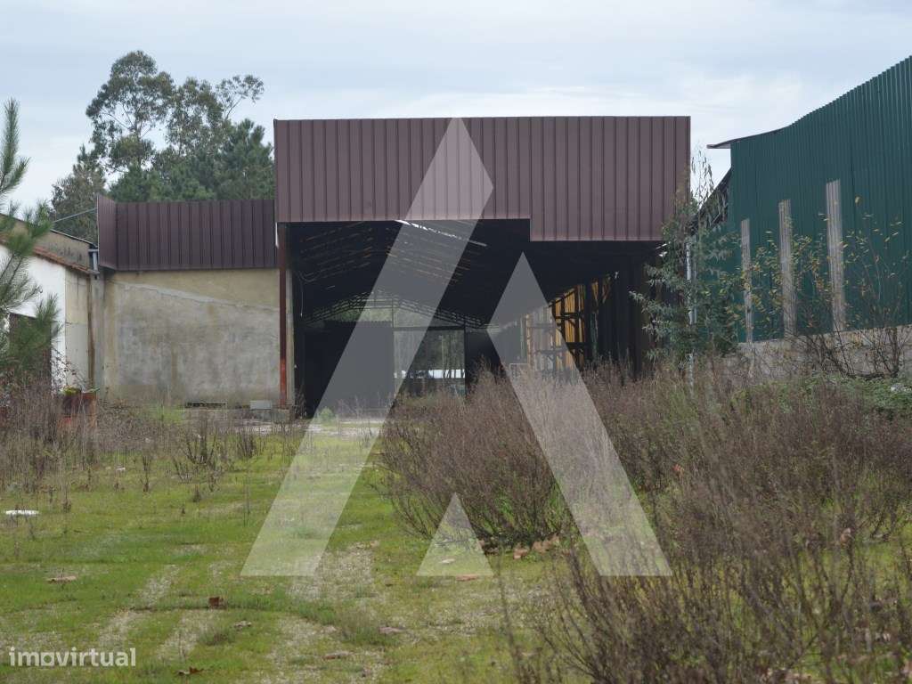 Armazém para venda em Vilarinho do Bairro - Grande imagem: 3/29