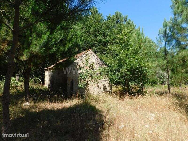 Terreno / Seia, Pinhanços - Grande imagem: 4/6