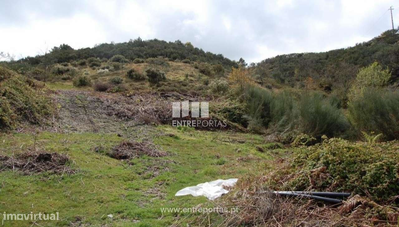 Venda Terreno, Carneiro, Amarante - Grande imagem: 2/9