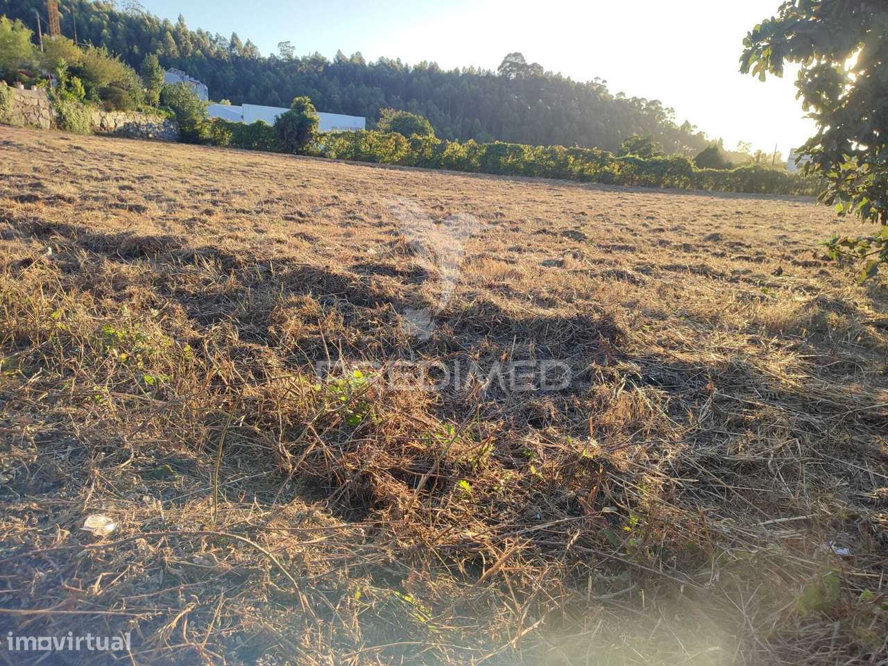 Terreno para construção à venda em Duas Igrejas - Grande imagem: 5/6