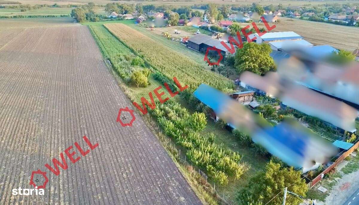 De vânzare teren de 4.590 mp în loc. Lunga - Imagine principală: 4/4