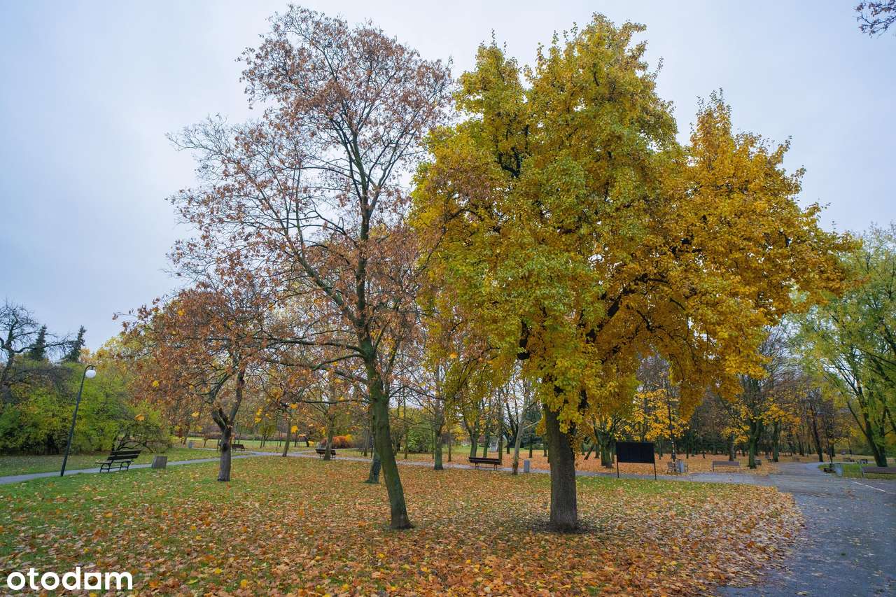 Okna na Park Bródnowski! Po Generalnym Remoncie! KW! Do Negocjacji!-11