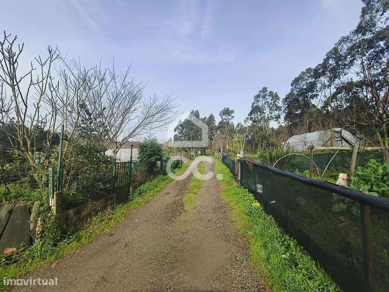 Lote de Terreno para Desenvolvimento | 8.800 m² | Valongo | Com Rendim-5