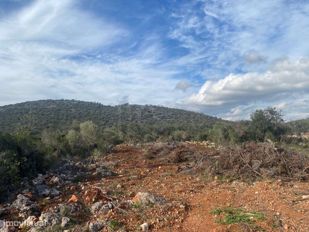 Lote de terreno rústico situado em zona muito tranquila, Boliqueime... - Grande imagem: 5/16