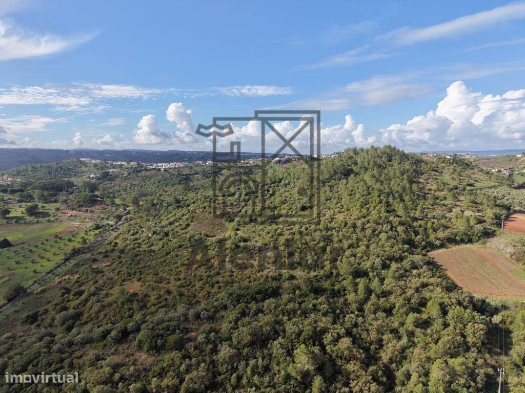 Oportunidade Única de Investimento Agrícola em Alenquer-6