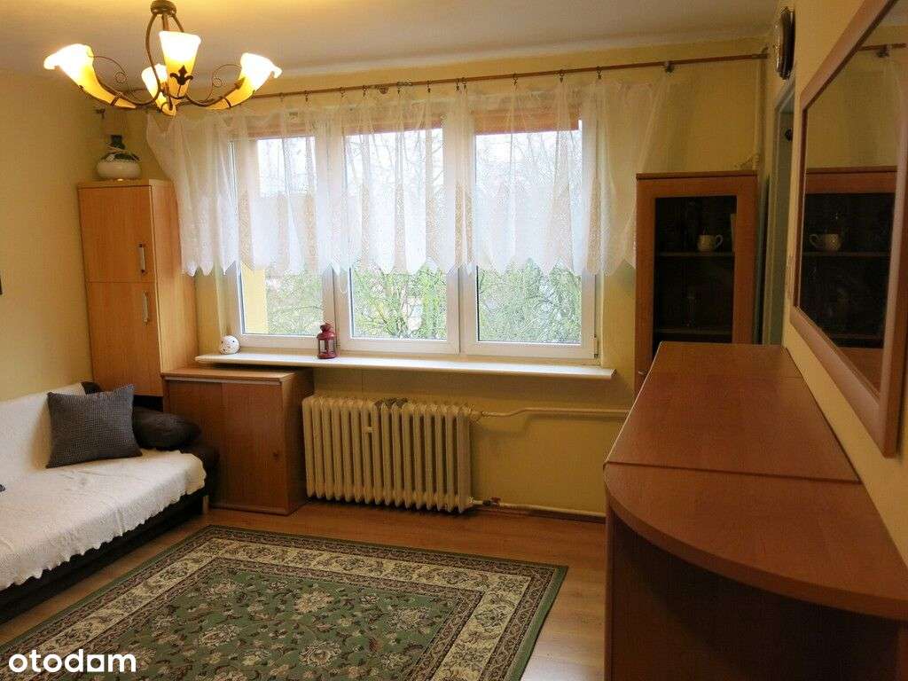 Kawalerka, ul. Grodzka, z widokiem na skwer!-3