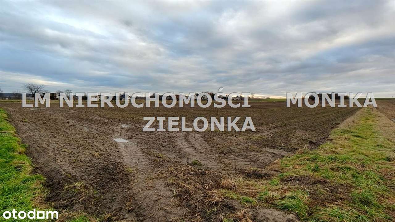 Duża działka pod zabudowę w Bełku !!-0