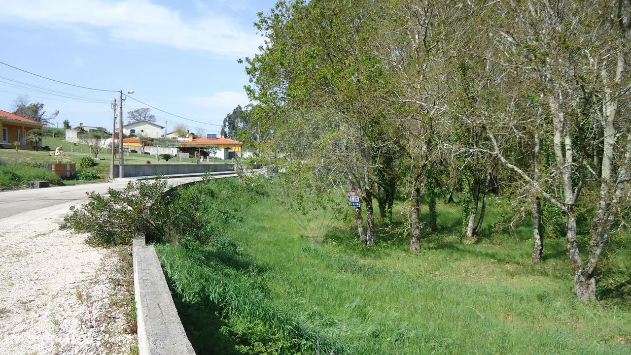 Terreno  para venda