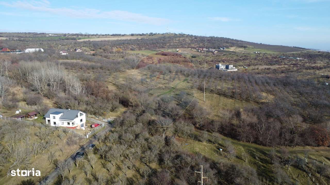Teren 20.146 mp Dâmbu Rotund (Lomb).Extravilan.Potențial rezidențial-8