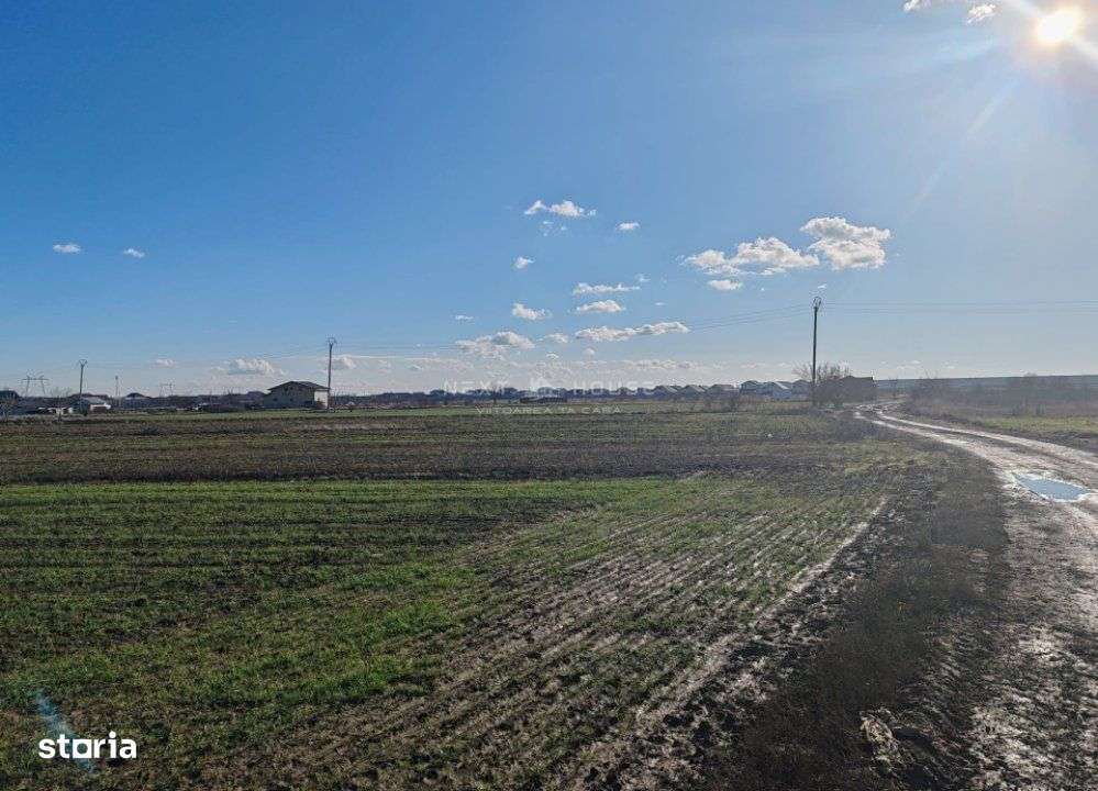 Teren Joita -  Bacu - Dragomiresti-0