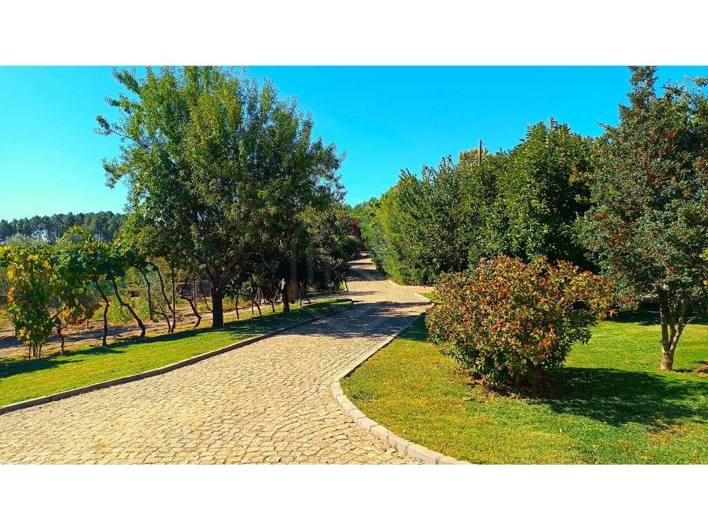 M ORADIA T3 COM PISCINA COBERTA , QUINTAL E 2 GARAGENS, BELMONTE, B...-8