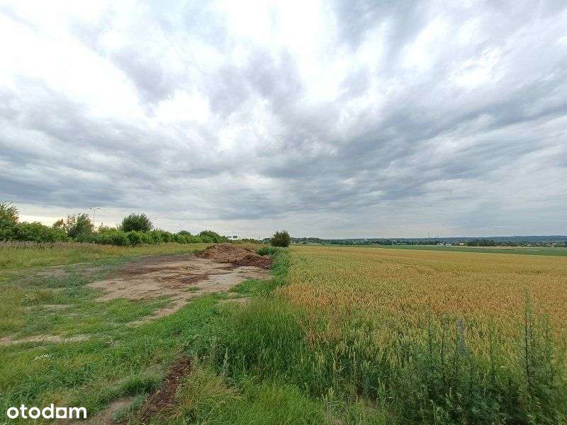 Gliwice, Sośnica A1, A4, 3,6 ha - Pełny obrazek: 3/5