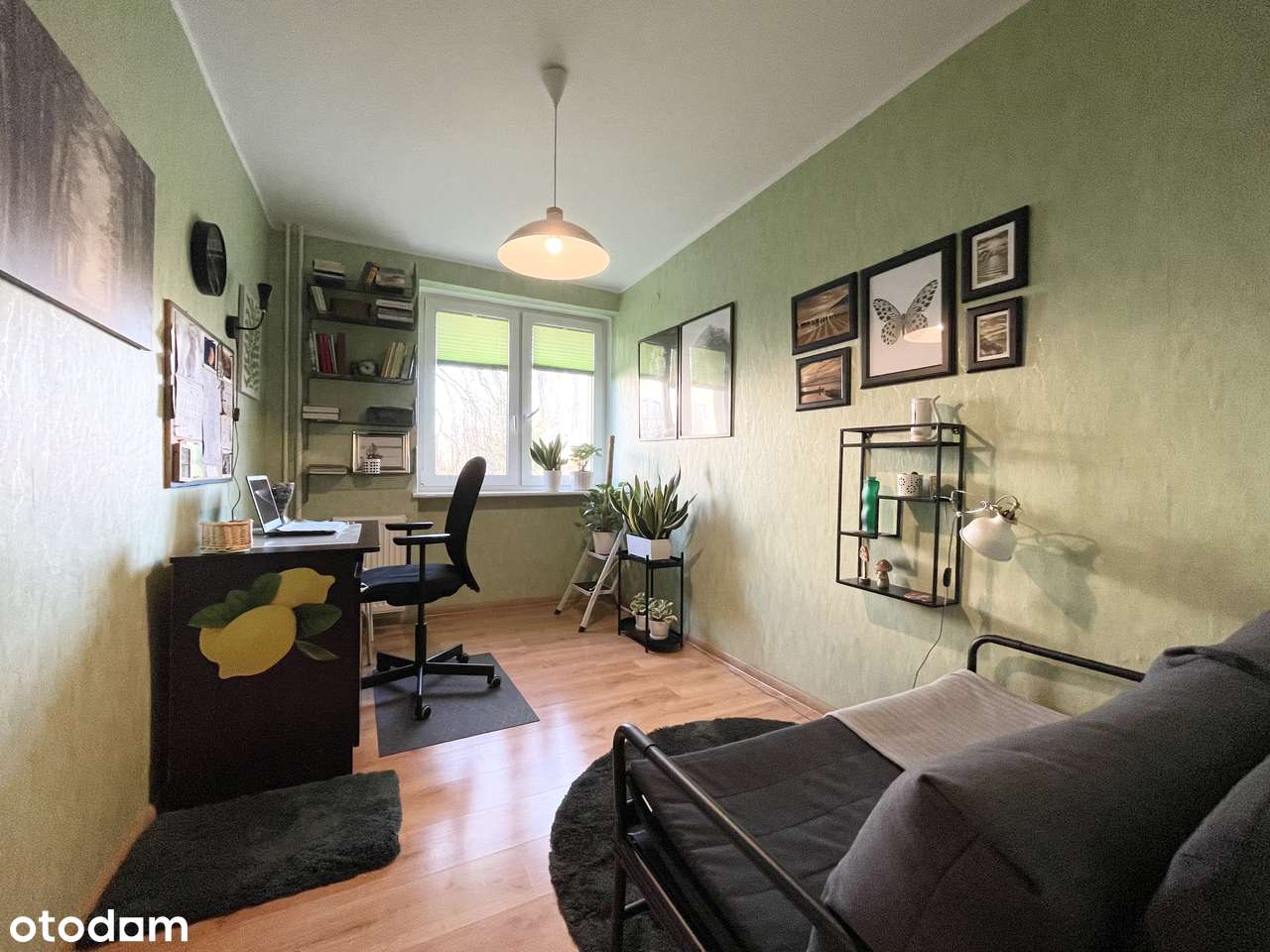 Oferuję przytulne 2 pokojowe mieszkanie Plac Dworcowy PARTER - Pełny obrazek: 4/17