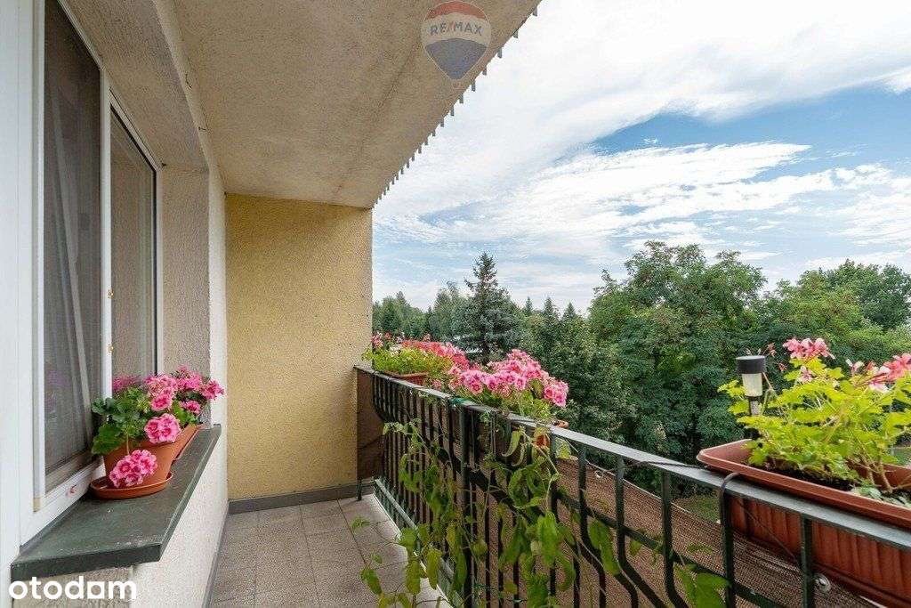 Tulce, atrakcyjna lokalizacja, kameralne osiedle - Pełny obrazek: 5/20