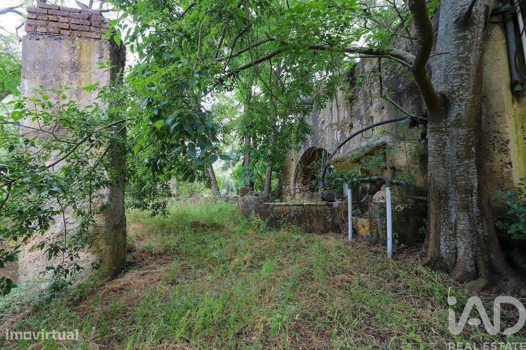 Casa / Villa T7 em Setúbal (São Julião, Nossa Senhora da Anunciada e S - Grande imagem: 3/17